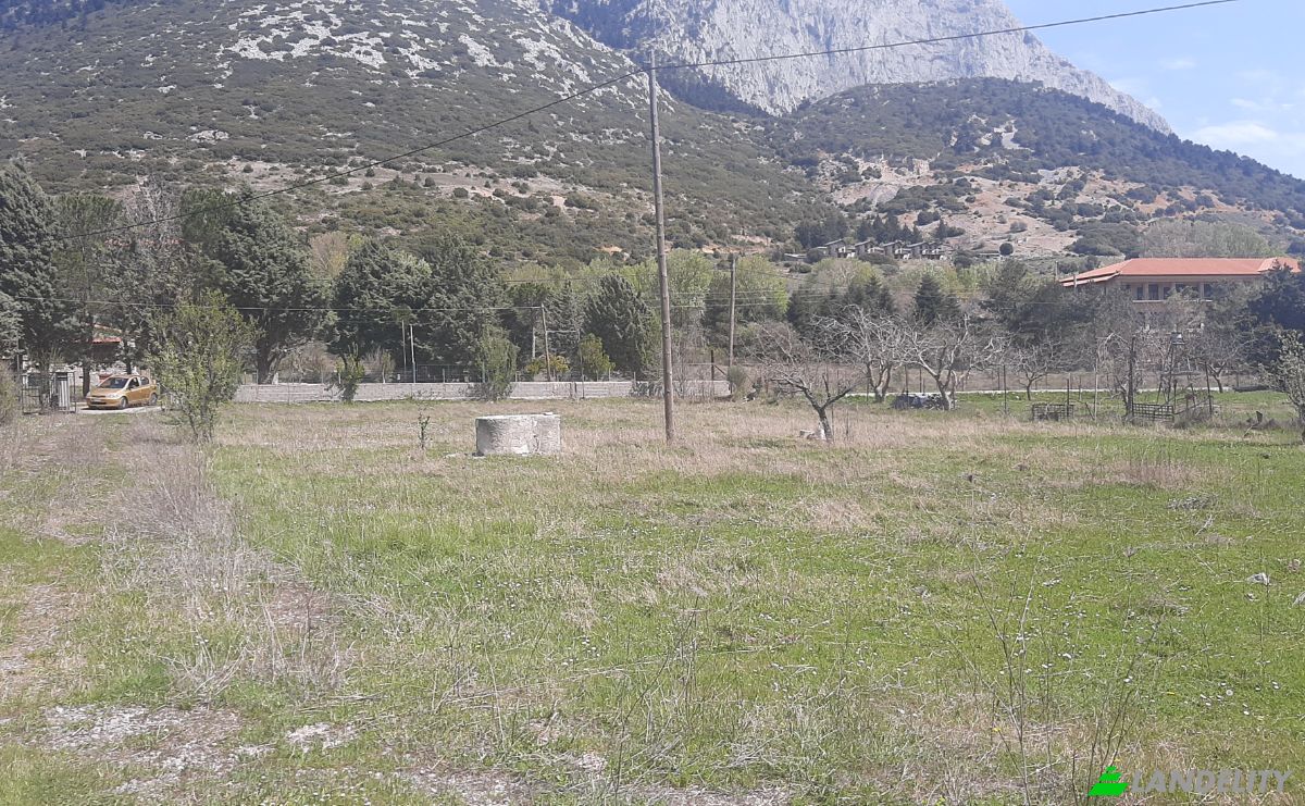 Single Family Home for Sale EO Livadias Amfissas, Zemeno Arachovas, Central Greece, Decentralized Administration of Thessaly and Central Greece, Greece. Photo 6