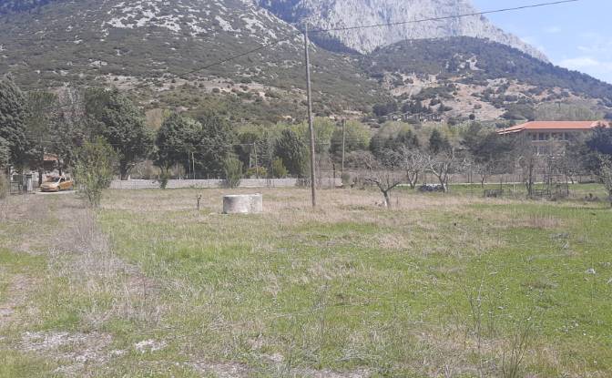 Single Family Home for Sale EO Livadias Amfissas. Photo#6