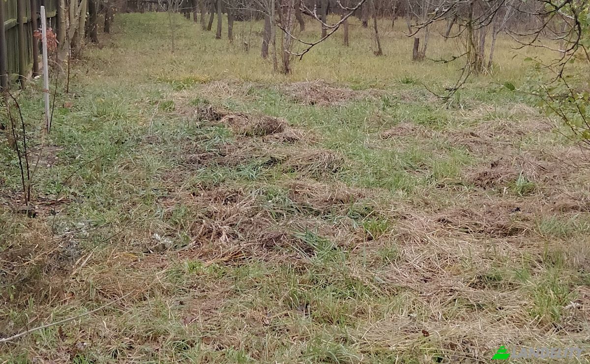 Dom jednorodzinny na sprzedaż Icoana, Olt County, Romania. Zdjęcie 3