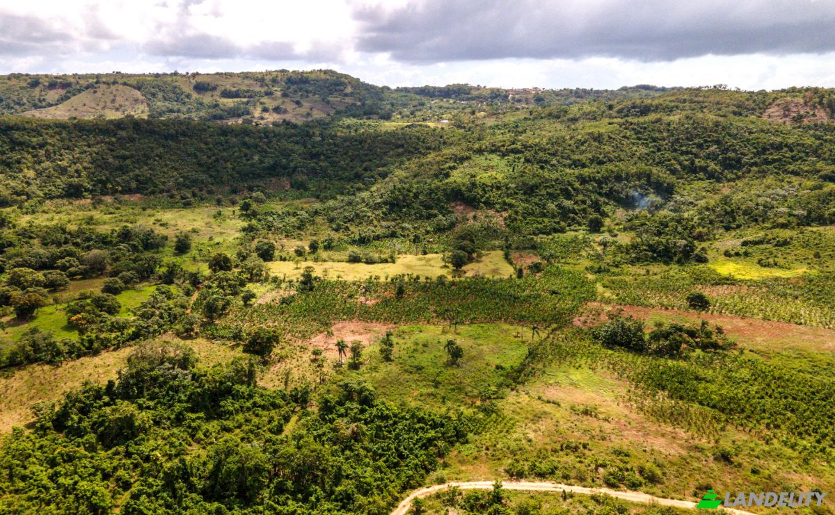 Lote de terreno en venta calle, Las Galeras 32000, Las Galeras, Samana, Samaná, República Dominicana. Foto 3