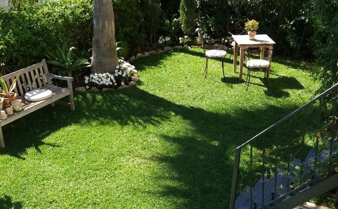 Single Family Home for Sale Zona Sup- Soto. Photo#4 Single Family Home for Sale Zona Sup- Soto. Photo#4