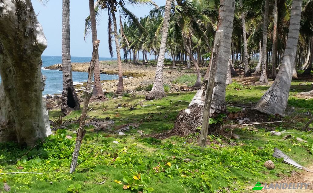 Land Lot for Sale Via sin nombre, 33000, Baoba del Pinar, Cabrera, Maria Trinidad Sanchez Province, Dominican Republic. Photo 2