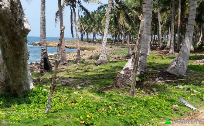 Land Lot for Sale Via sin nombre, 33000. Photo#2