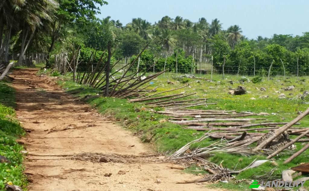 Land Lot for Sale Via sin nombre, 33000, Baoba del Pinar, Cabrera, Maria Trinidad Sanchez Province, Dominican Republic. Photo 4