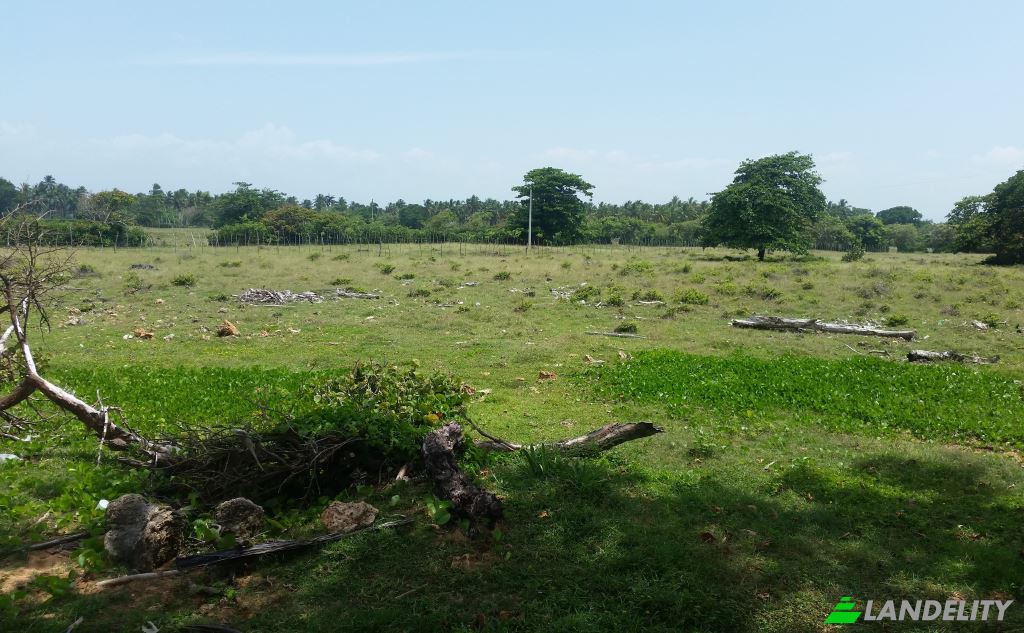Land Lot for Sale Via sin nombre, 33000, Baoba del Pinar, Cabrera, Maria Trinidad Sanchez Province, Dominican Republic. Photo 5