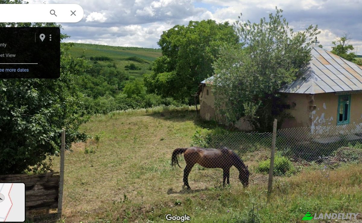 Single Family Home for Sale Sarbi 607461, Sarbi, Podu Turcului, Bacau County, Romania. Photo 4