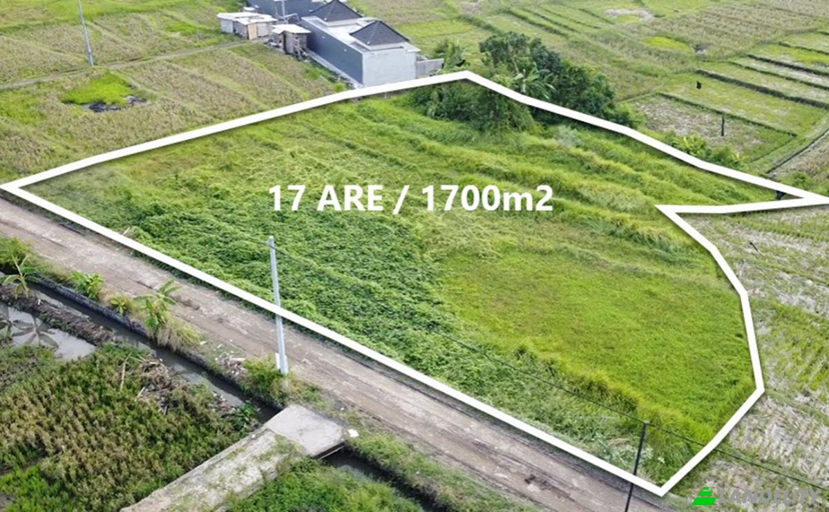 Land Lot for Rent Cemagi, Badung Regency, Bali, Indonesia, Mengwi. Photo 1