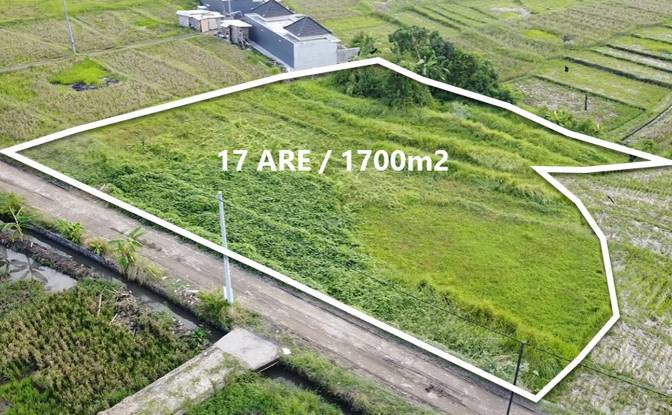 Land Lot Rentals - Cemagi, Indonesia
