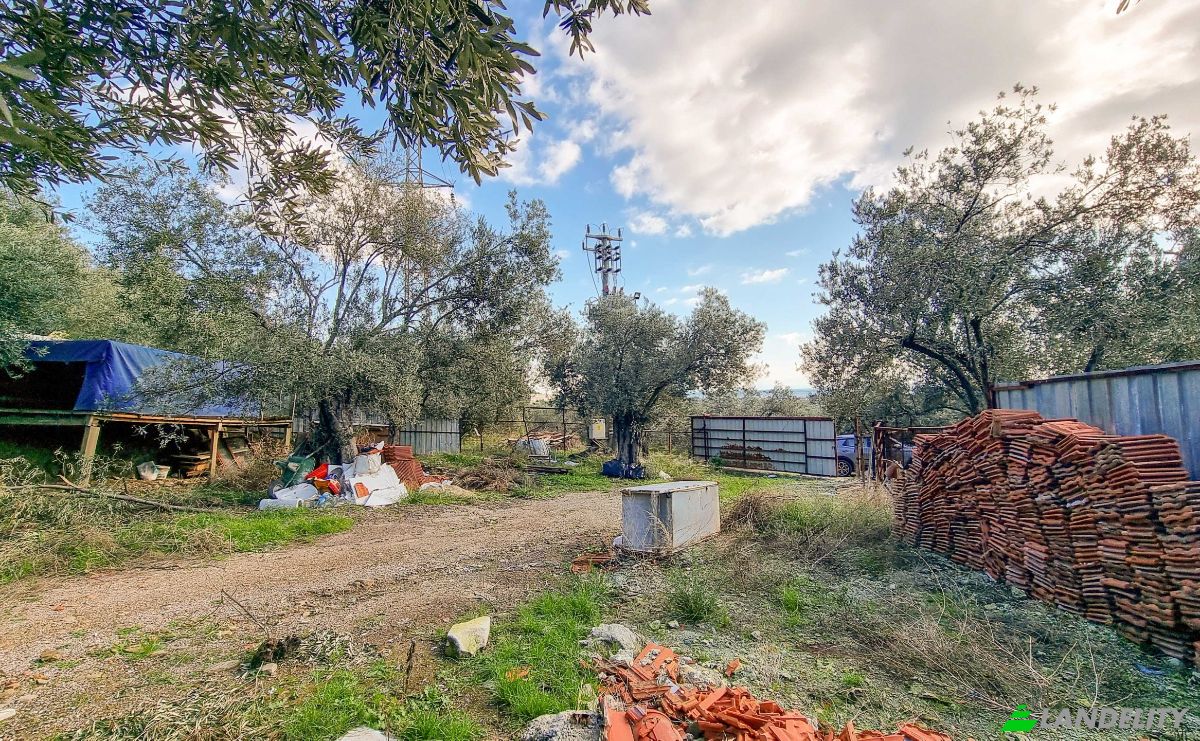 Land Lot for Sale Ayvacik Canakkale, Yesilyurt Ayvacik Canakkale, Ayvacik, Canakkale, Turkiye. Photo 16