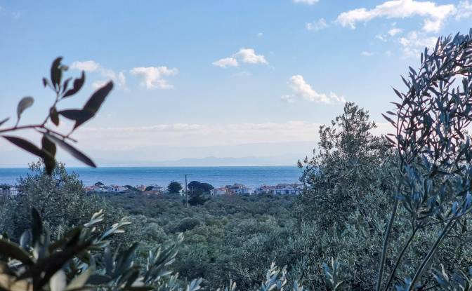 Land Lot for Sale Ayvacik Canakkale. Photo#18 Land Lot for Sale Ayvacik Canakkale. Photo#18
