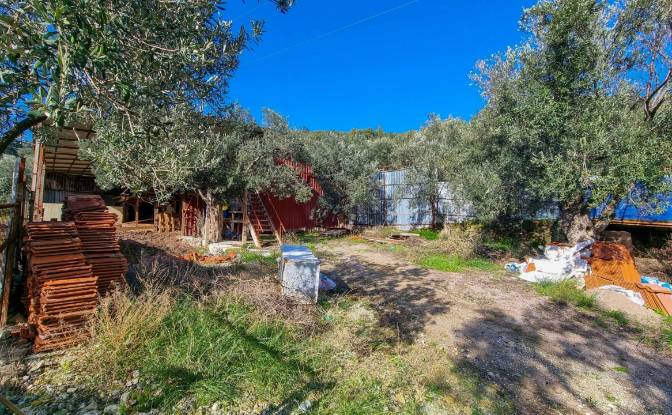 Land Lot for Sale Ayvacik Canakkale. Photo#2 Land Lot for Sale Ayvacik Canakkale. Photo#2