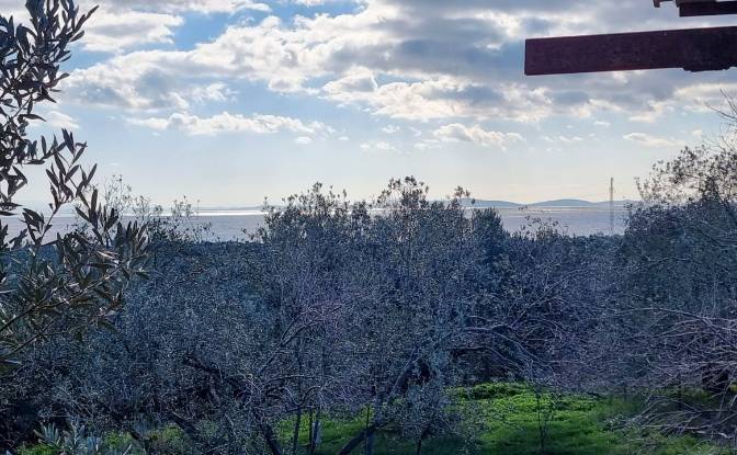 Land Lot for Sale Ayvacik Canakkale. Photo#20 Land Lot for Sale Ayvacik Canakkale. Photo#20