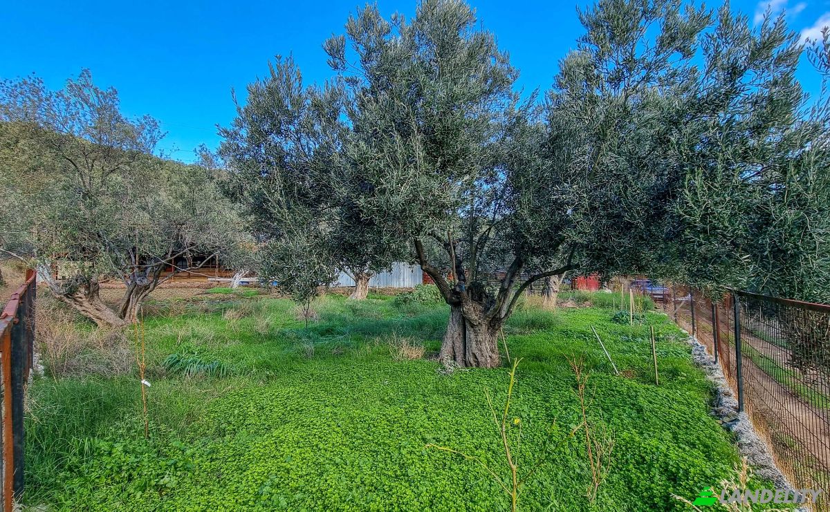 Land Lot for Sale Ayvacik Canakkale, Yesilyurt Ayvacik Canakkale, Ayvacik, Canakkale, Turkiye. Photo 23