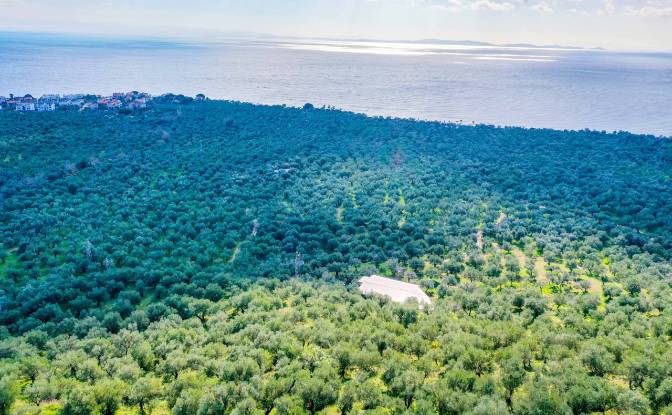 Land Lot for Sale Ayvacik Canakkale. Photo#24 Land Lot for Sale Ayvacik Canakkale. Photo#24