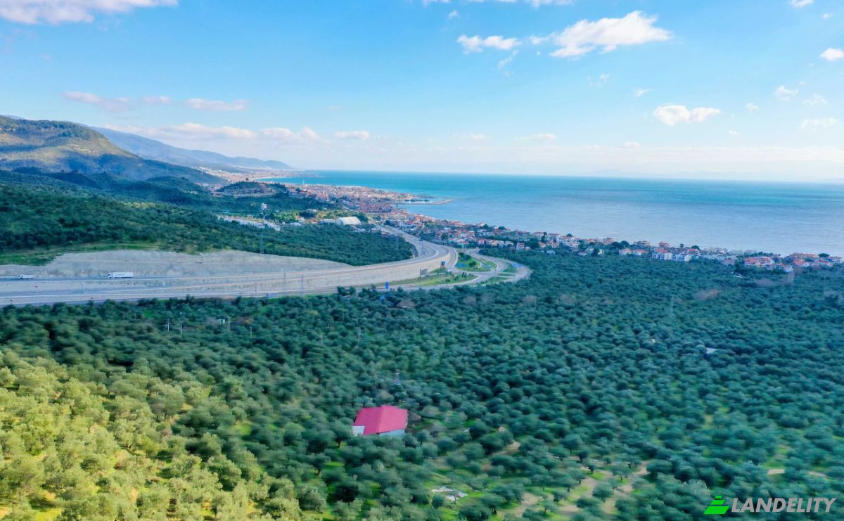 Land Lot for Sale Ayvacik Canakkale, Yesilyurt Ayvacik Canakkale, Ayvacik, Canakkale, Turkiye. Photo 25