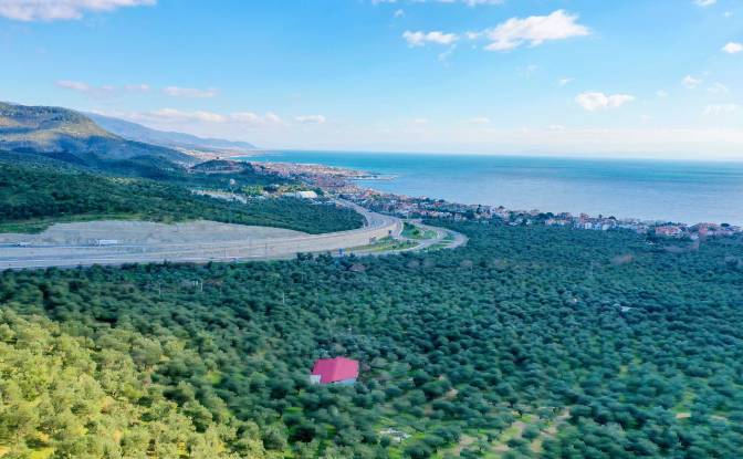 Land Lot for Sale Ayvacik Canakkale. Photo#25 Land Lot for Sale Ayvacik Canakkale. Photo#25