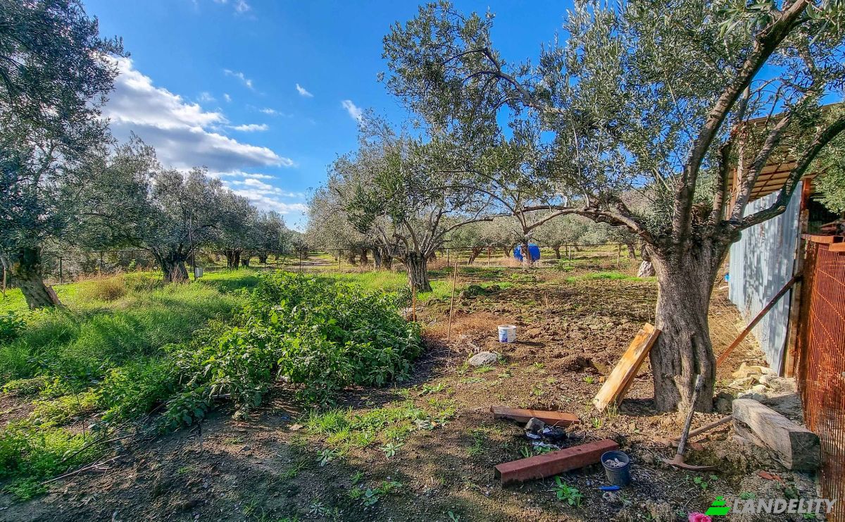 Land Lot for Sale Ayvacik Canakkale, Yesilyurt Ayvacik Canakkale, Ayvacik, Canakkale, Turkiye. Photo 3