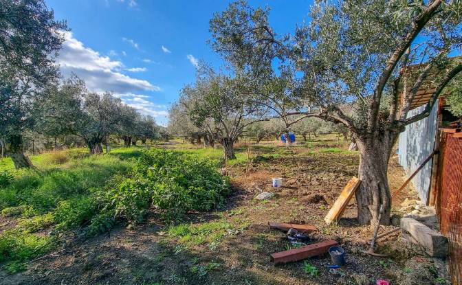 Land Lot for Sale Ayvacik Canakkale. Photo#3 Land Lot for Sale Ayvacik Canakkale. Photo#3