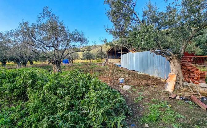 Land Lot for Sale Ayvacik Canakkale. Photo#4 Land Lot for Sale Ayvacik Canakkale. Photo#4
