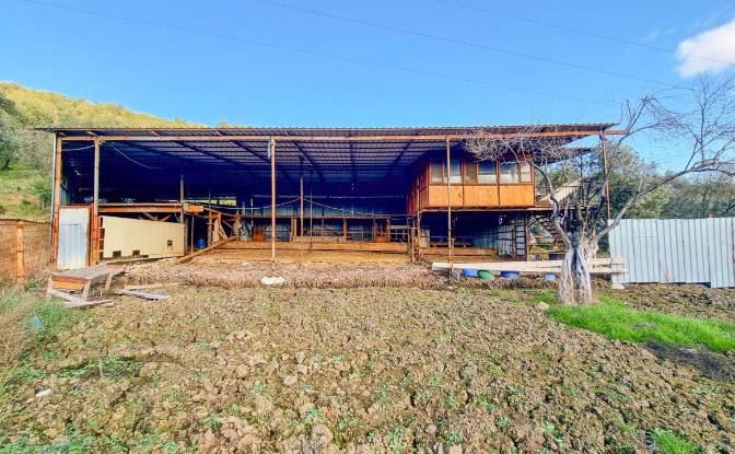 Land Lot for Sale Ayvacik Canakkale. Photo#5 Land Lot for Sale Ayvacik Canakkale. Photo#5