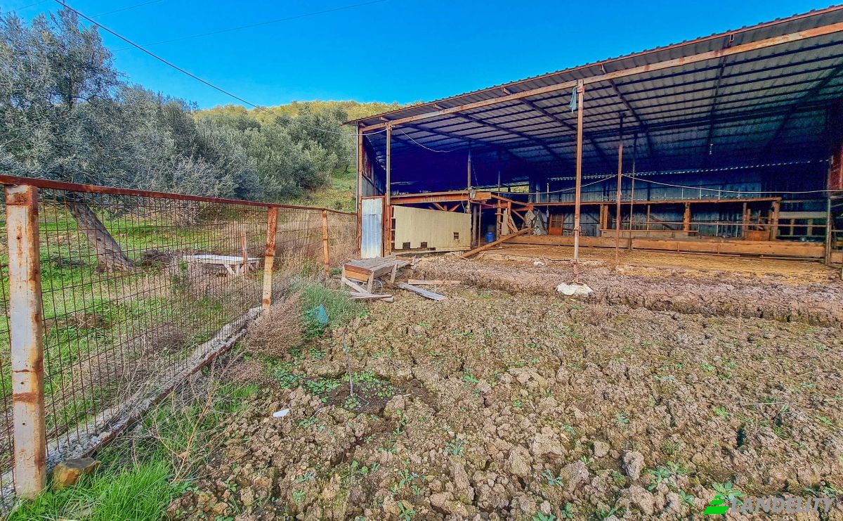 Land Lot for Sale Ayvacik Canakkale, Yesilyurt Ayvacik Canakkale, Ayvacik, Canakkale, Turkiye. Photo 6