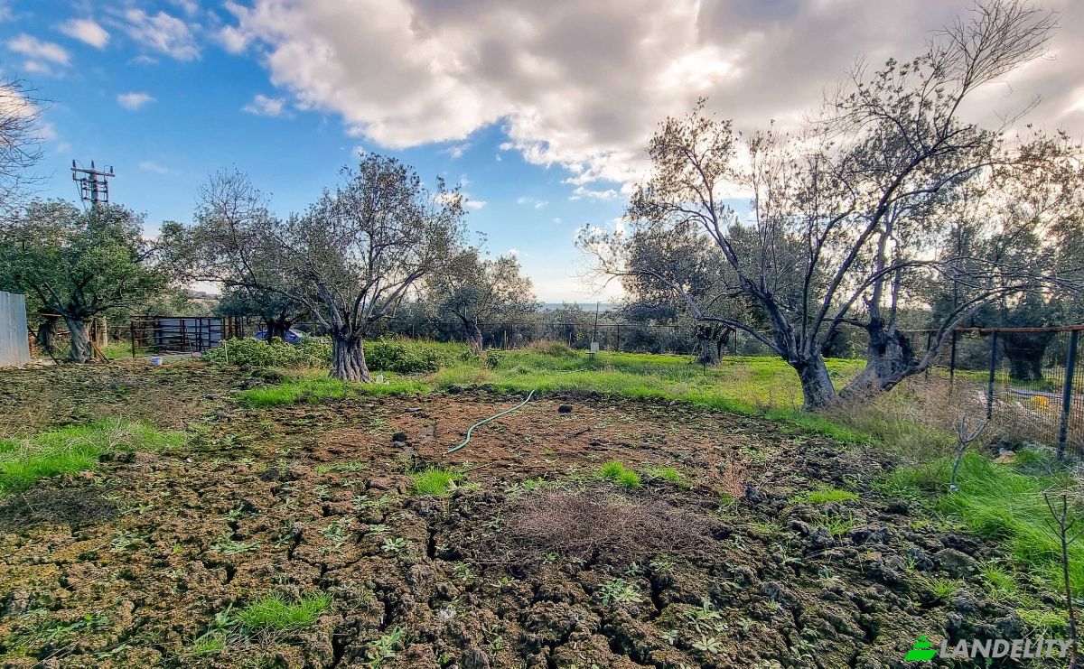Land Lot for Sale Ayvacik Canakkale, Yesilyurt Ayvacik Canakkale, Ayvacik, Canakkale, Turkiye. Photo 7