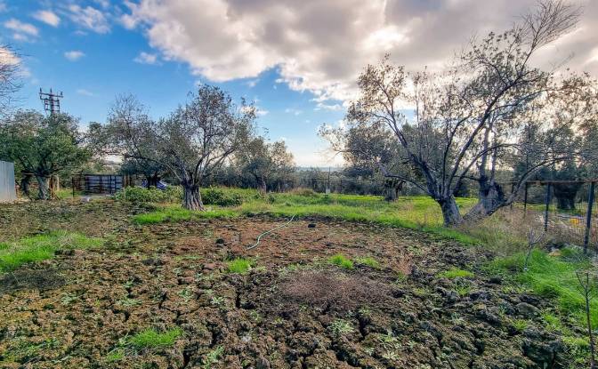 Land Lot for Sale Ayvacik Canakkale. Photo#7 Land Lot for Sale Ayvacik Canakkale. Photo#7