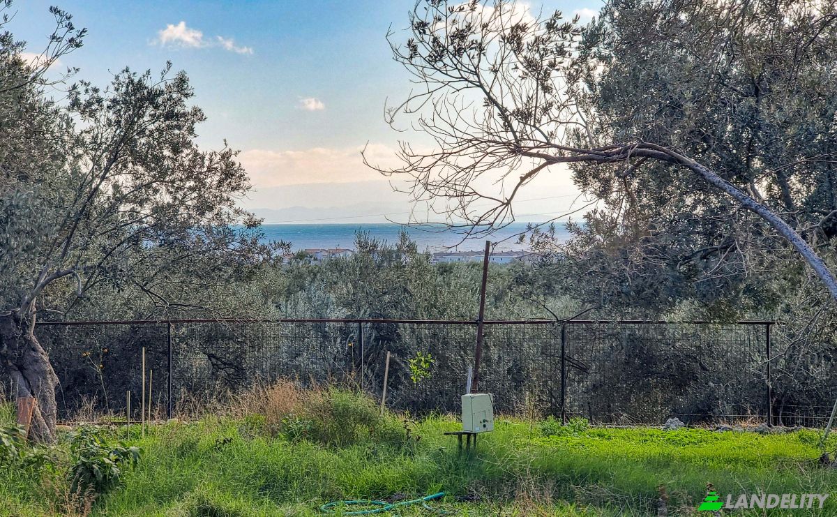 Land Lot for Sale Ayvacik Canakkale, Yesilyurt Ayvacik Canakkale, Ayvacik, Canakkale, Turkiye. Photo 8