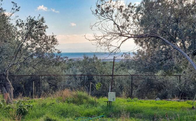 Land Lot for Sale Ayvacik Canakkale. Photo#8 Land Lot for Sale Ayvacik Canakkale. Photo#8