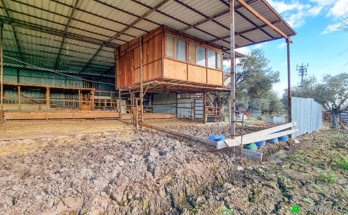 Land Lot for Sale Ayvacik Canakkale, Yesilyurt Ayvacik Canakkale, Ayvacik, Canakkale, Turkiye. Photo 9