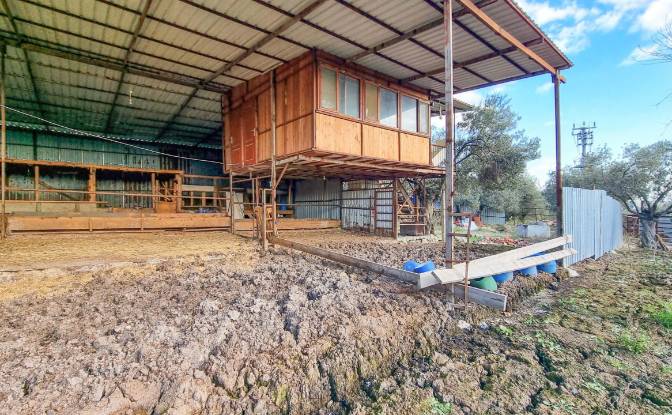 Land Lot for Sale Ayvacik Canakkale. Photo#9 Land Lot for Sale Ayvacik Canakkale. Photo#9