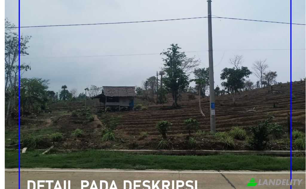 Land Lot for Sale Tanjungjaya, Pandeglang Regency, Banten, Indonesia, Panimbang, Banten 42281. Photo 5