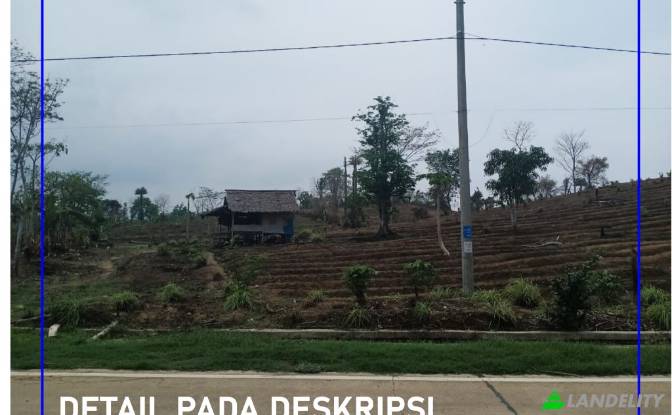 Land Lot for Sale Tanjungjaya, Pandeglang Regency. Photo#5 Land Lot for Sale Tanjungjaya, Pandeglang Regency. Photo#5