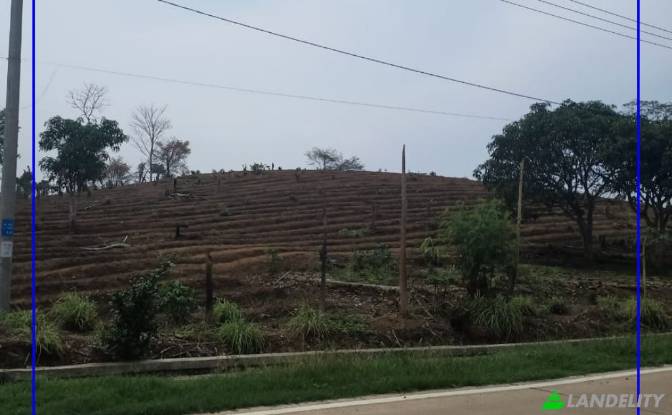 Land Lot for Sale Tanjungjaya, Pandeglang Regency. Photo#4 Land Lot for Sale Tanjungjaya, Pandeglang Regency. Photo#4