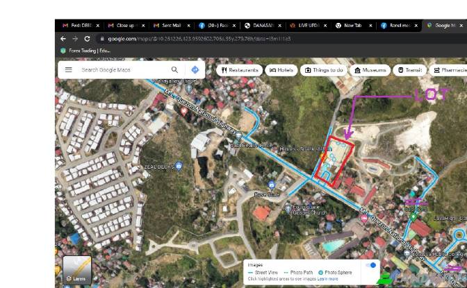 Land Lot for Sale Mahayahay St, Cordova, Cebu. Photo#10 Land Lot for Sale Mahayahay St, Cordova, Cebu. Photo#10
