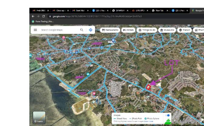 Land Lot for Sale Mahayahay St, Cordova, Cebu. Photo#11 Land Lot for Sale Mahayahay St, Cordova, Cebu. Photo#11