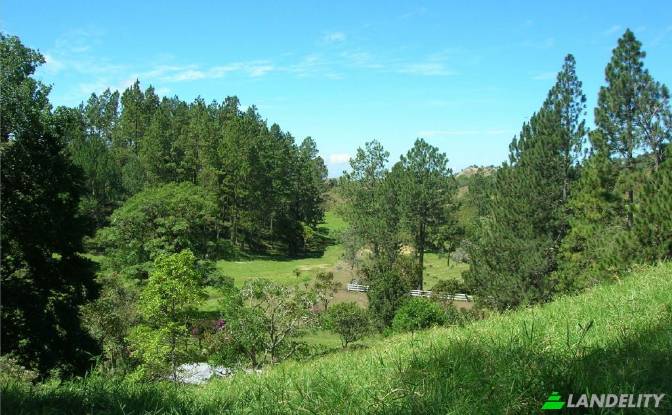 Lote de terreno à venda Manzana 041005, Dominical. foto#3