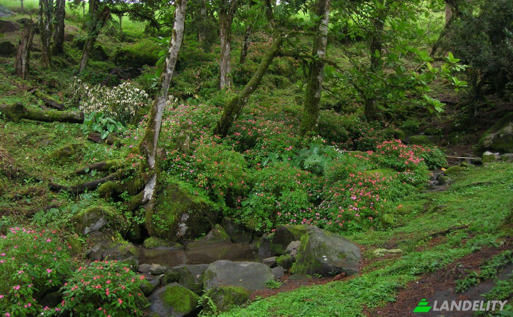 Lote de terreno à venda Manzana 041005, Dominical, Renacimiento District, Chiriqui Province, Panama. foto 4