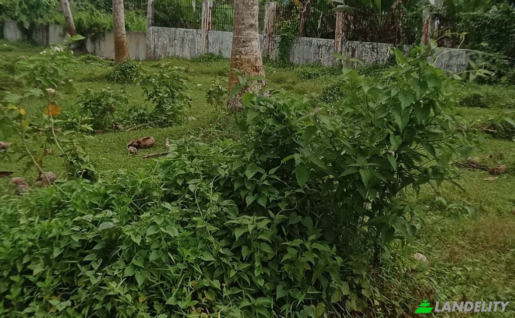 Land Lot for Sale Dapa, Surigao del Norte, Caraga, Philippines. Photo 10