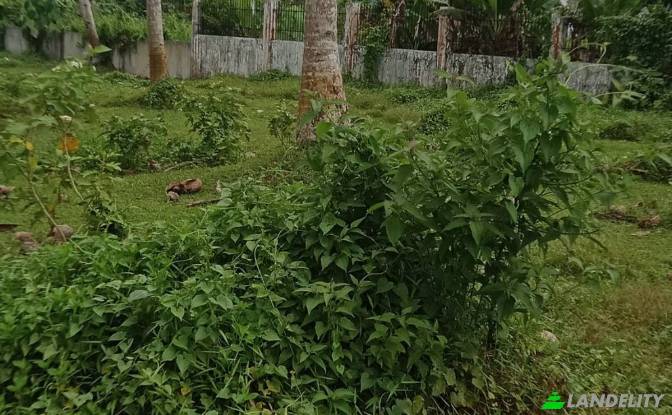 Land Lot for Sale Dapa, Surigao del Norte, Caraga. Photo#10