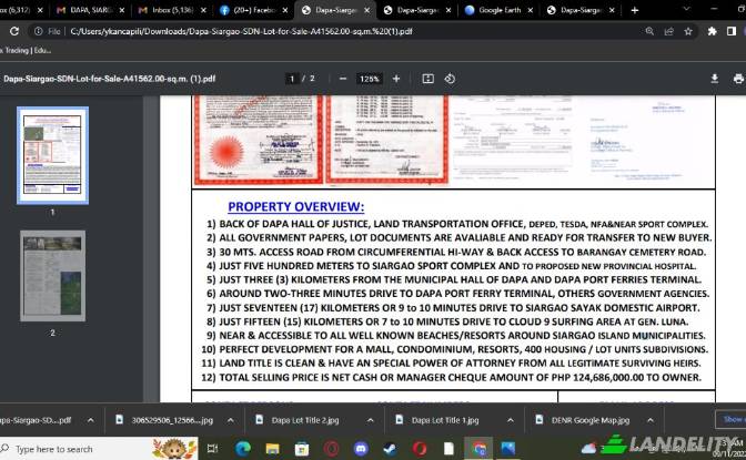 Land Lot for Sale Dapa, Surigao del Norte, Caraga. Photo#12