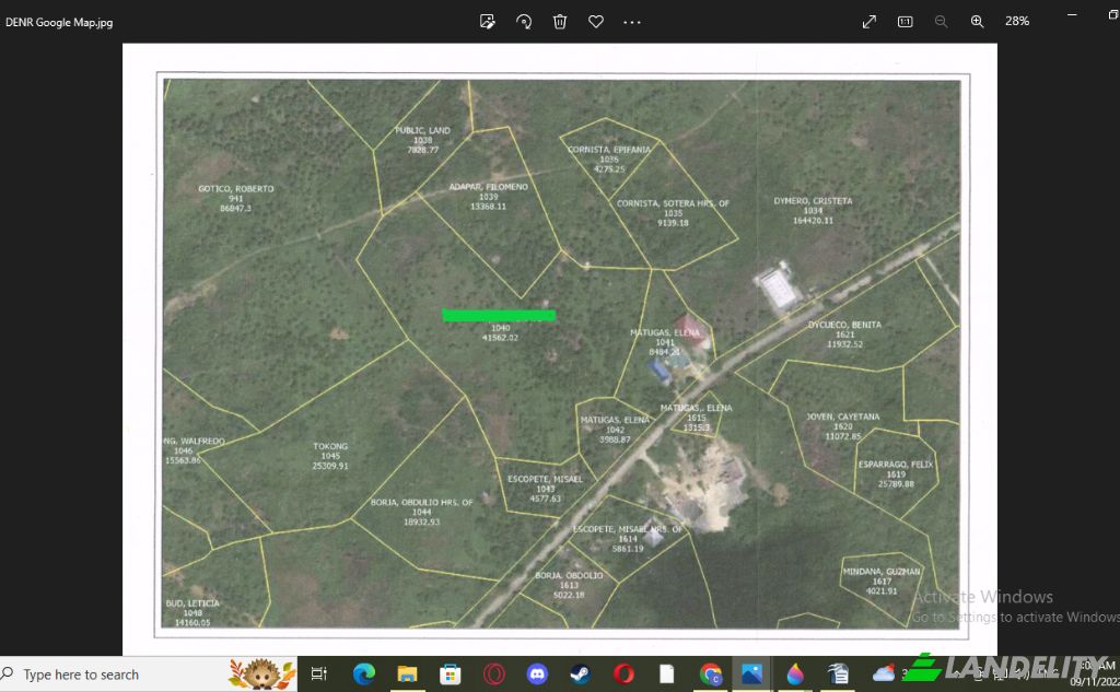 Land Lot for Sale Dapa, Surigao del Norte, Caraga, Philippines. Photo 5