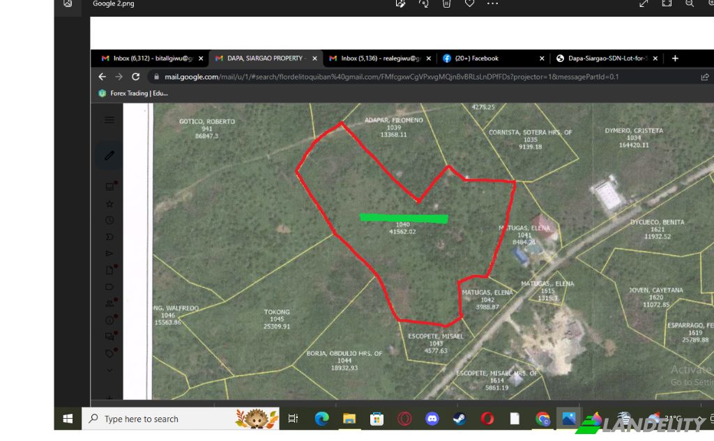 Land Lot for Sale Dapa, Surigao del Norte, Caraga, Philippines. Photo 6