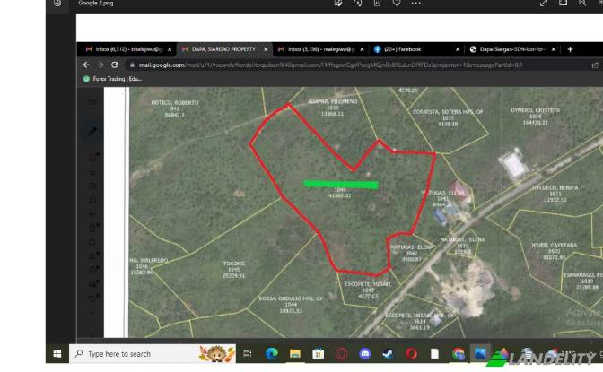 Land Lot for Sale Dapa, Surigao del Norte, Caraga. Photo#6