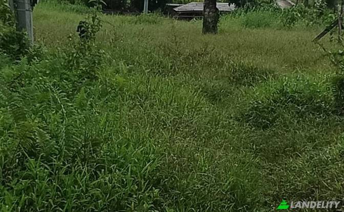 Land Lot for Sale Dapa, Surigao del Norte, Caraga. Photo#8