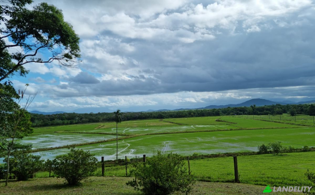 Investing/Development for Sale Cachoeira de Cima, Antonina, State of Parana, Brazil, 83370-000. Photo 1
