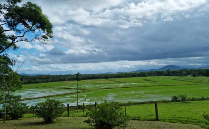 Investing/Development for Sale Cachoeira de Cima. Photo#1 Investing/Development for Sale Cachoeira de Cima. Photo#1