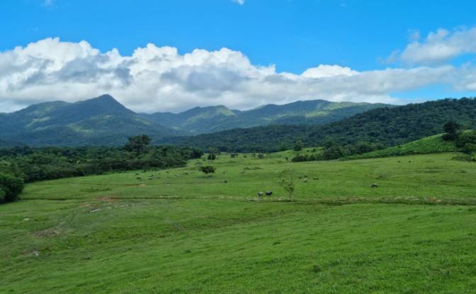 Investing/Development for Sale Cachoeira de Cima. Photo#2 Investing/Development for Sale Cachoeira de Cima. Photo#2