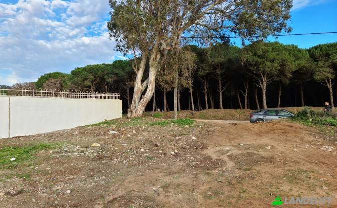 Land Lot for Sale Route sans nom, Tanger, Tangier. Photo#2 Land Lot for Sale Route sans nom, Tanger, Tangier. Photo#2