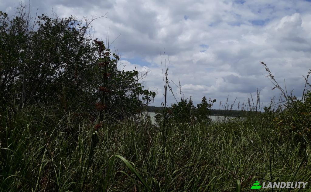 Land Lot for Sale Chunox Road, Progresso, Corozal District, Belize. Photo 2